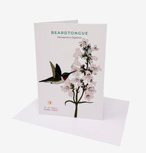 Load image into Gallery viewer, Native Blooms Notecards (pack of 5, w/envelopes)