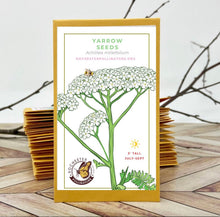 Load image into Gallery viewer, Common Yarrow Seeds