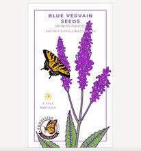 Load image into Gallery viewer, Blue Vervain Seeds
