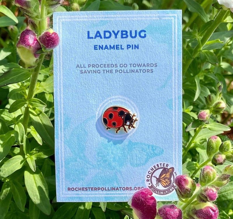 Lady Bug, enamel pin
