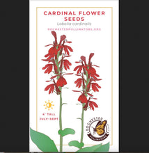 Load image into Gallery viewer, Cardinal Flower Seeds

