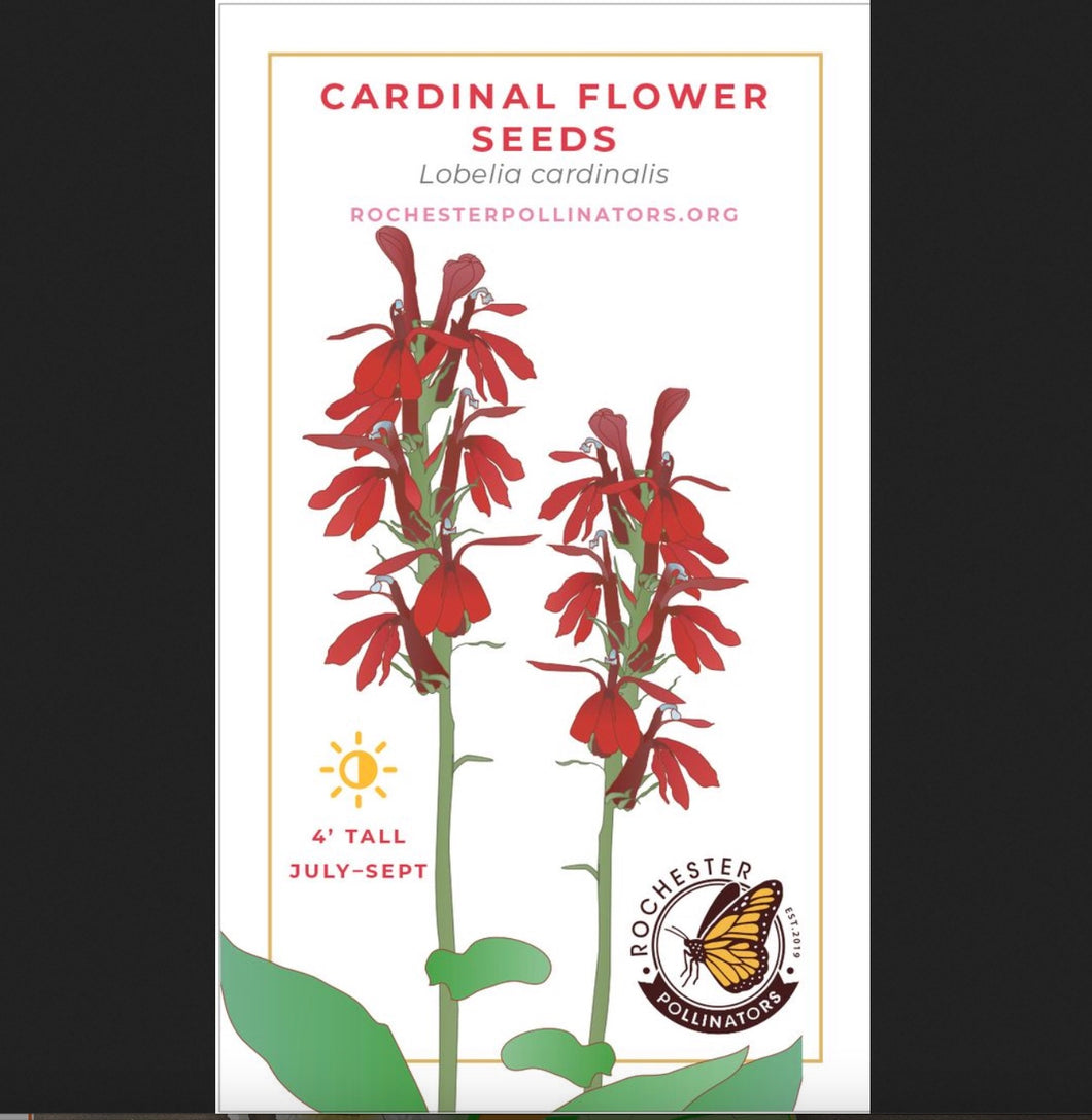 Cardinal Flower Seeds