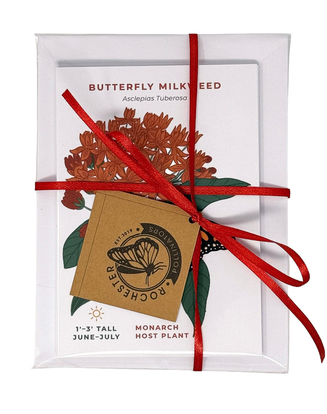 Native Blooms Notecards (pack of 5, w/envelopes)