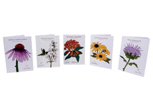 Load image into Gallery viewer, Native Blooms Notecards (pack of 5, w/envelopes)
