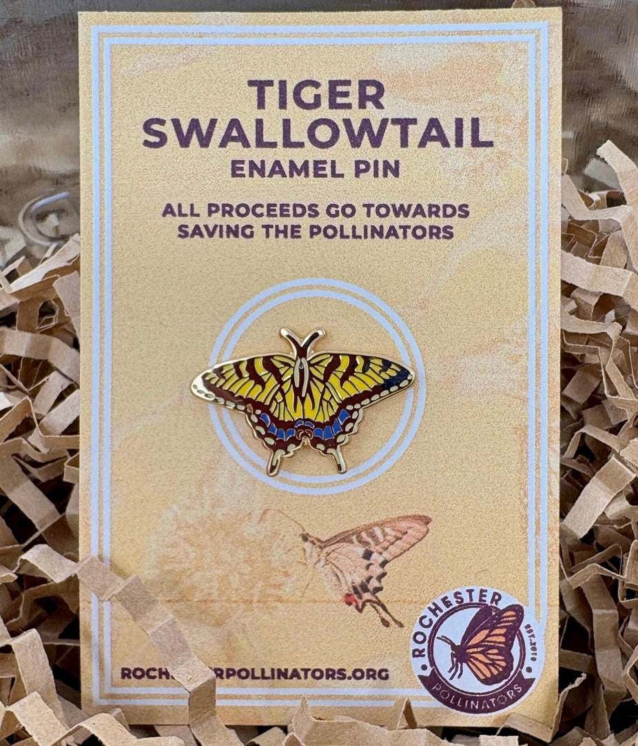 Eastern Tiger Swallowtail Butterfly, enamel pin