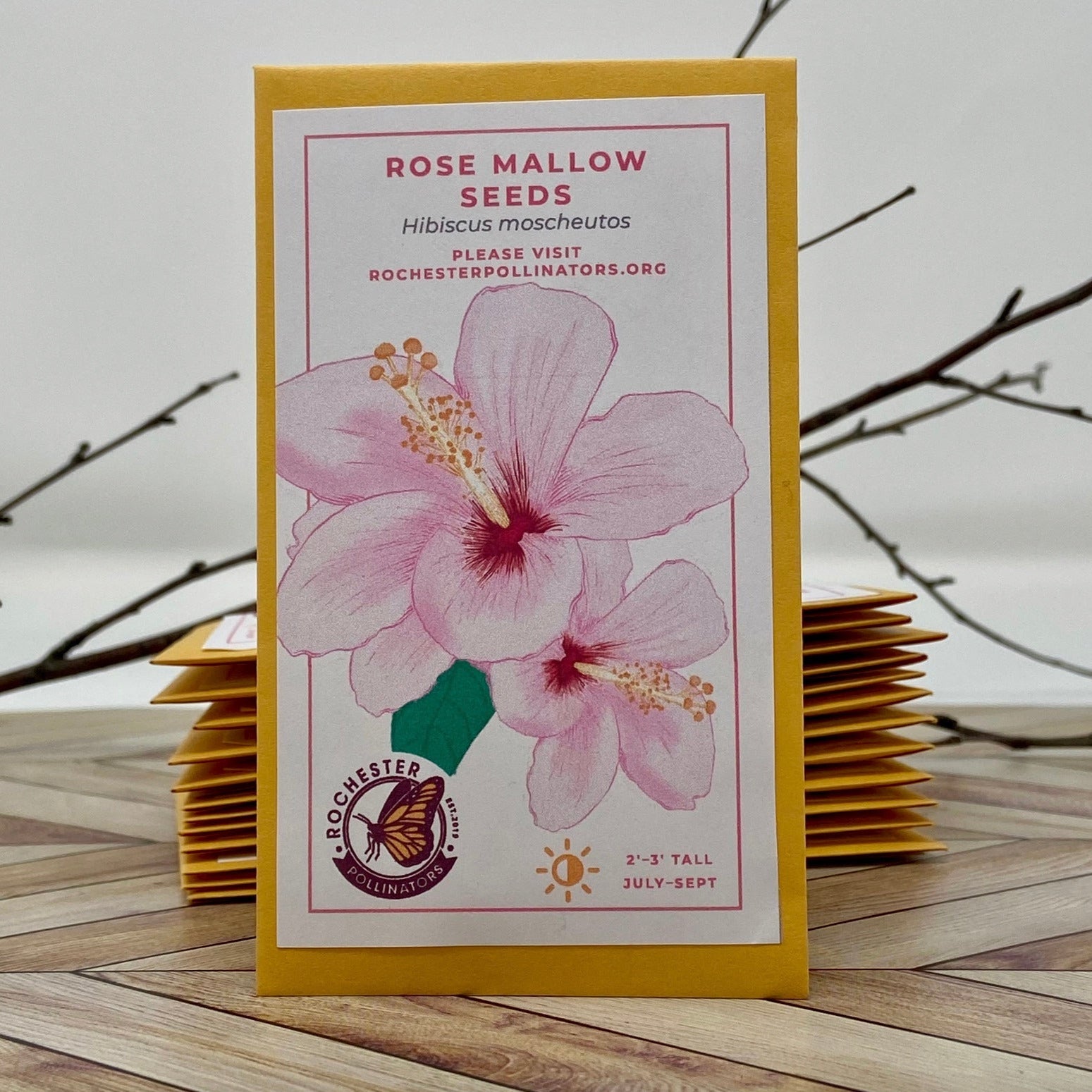 mallow plant seeds Rose Mallow Seeds – Rochester Pollinators