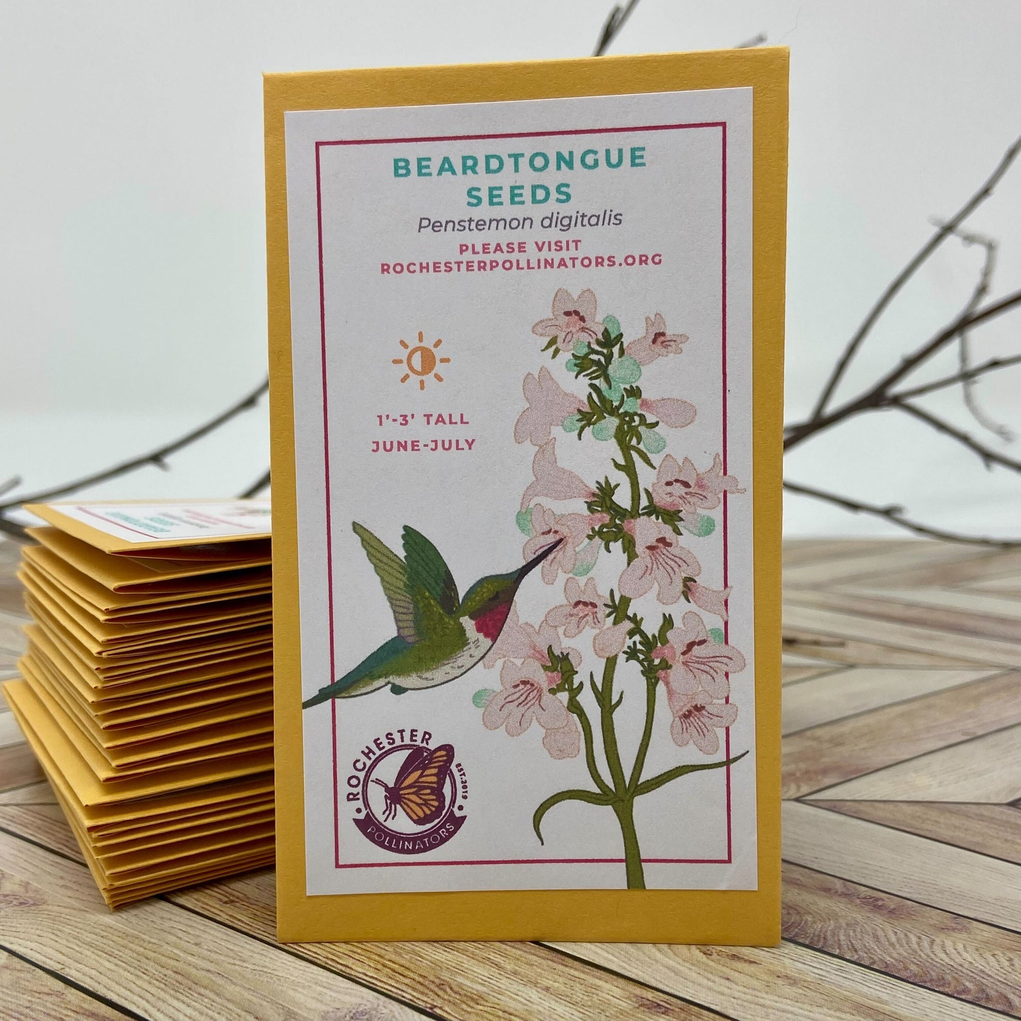 Michigan Native Wildflower Seeds  Rochester Pollinators