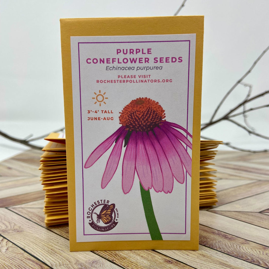 Purple Cone Flower Seeds