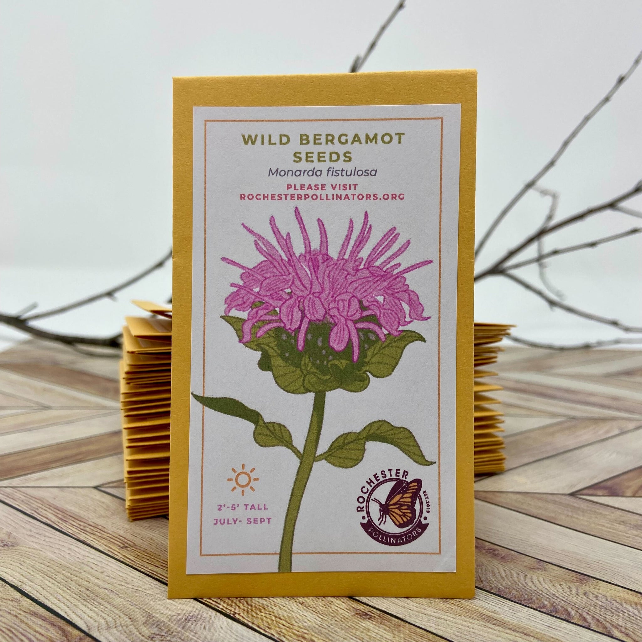 Michigan Native Wildflower Seeds  Rochester Pollinators