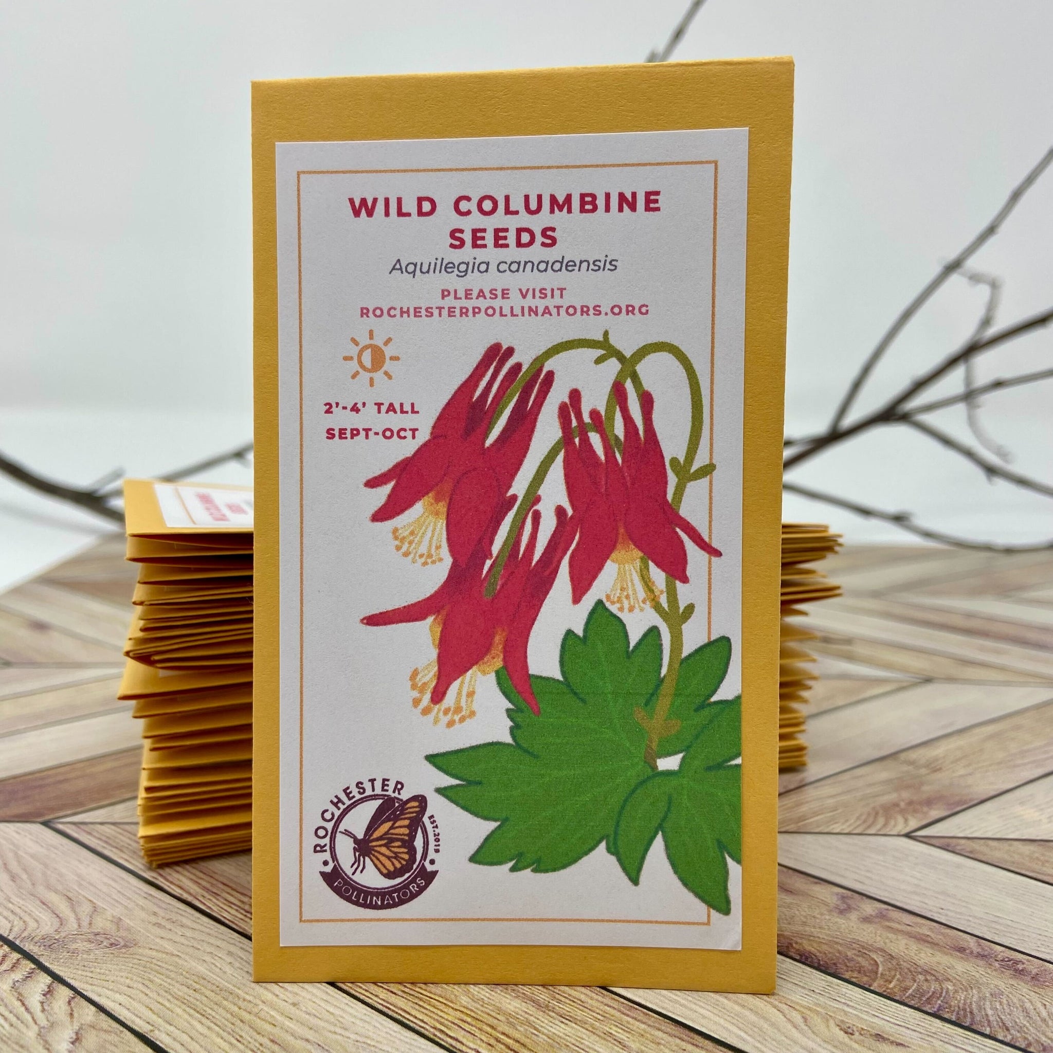 Michigan Native Wildflower Seeds  Rochester Pollinators