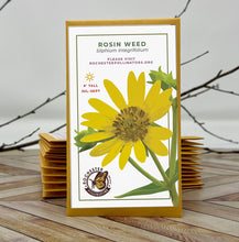 Load image into Gallery viewer, Rosin Weed Seeds, Michigan Wildflowers, Native Flower seeds
